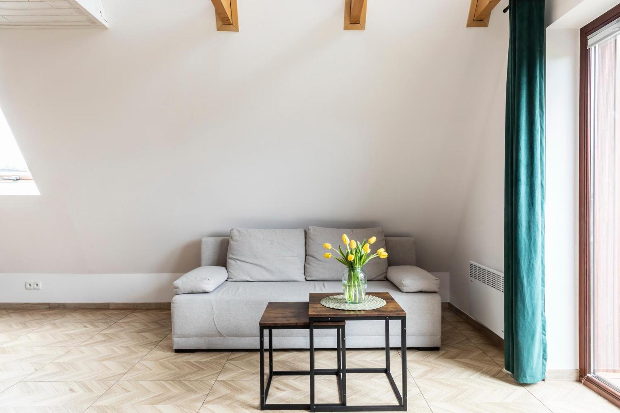 Udanypobyt Apartamenty Przy Dolinach C I D Kościelisko Exterior foto